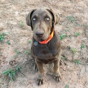 Meet your Posher, Jackie